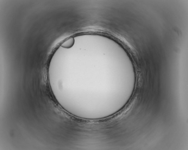 X0000111431358200907131032