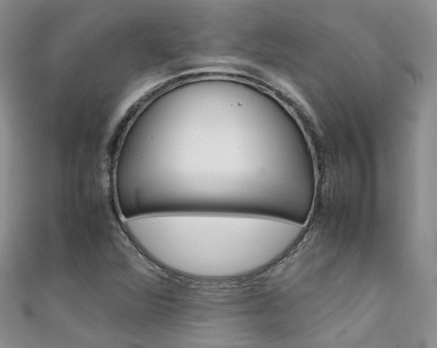 X0000111431360200907131032