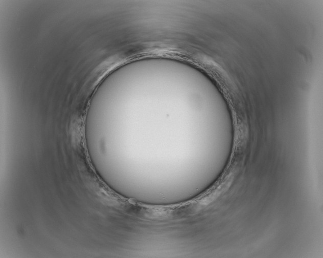 X0000111431361200907131032
