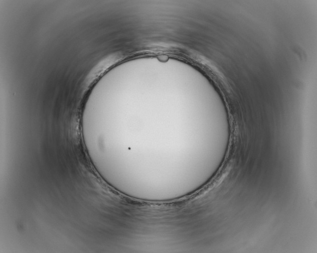 X0000111431362200907131032