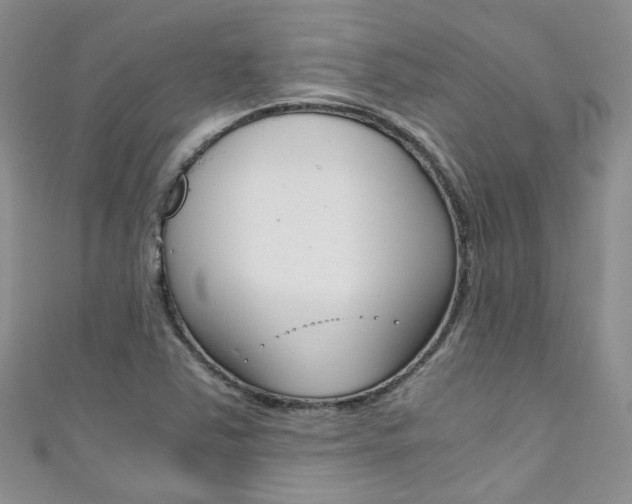 X0000111431363200907131032