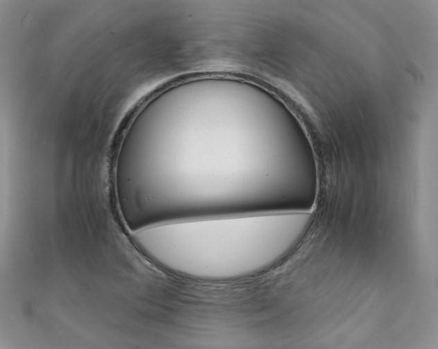 X0000111431364200907131032