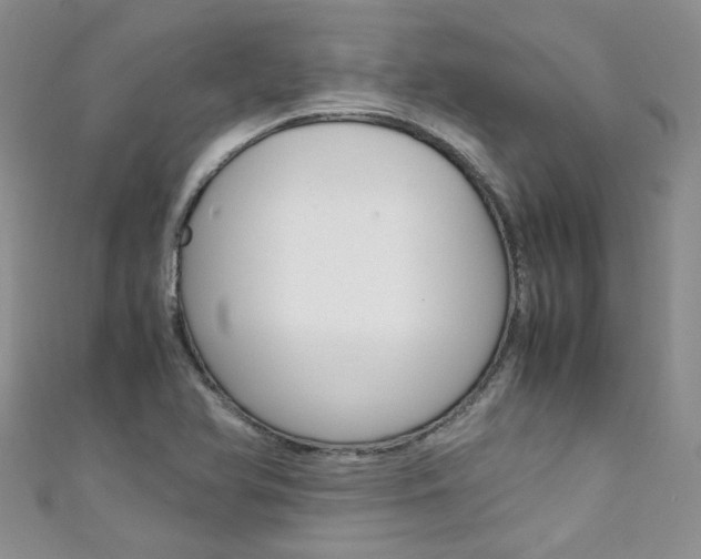 X0000111431366200907131032
