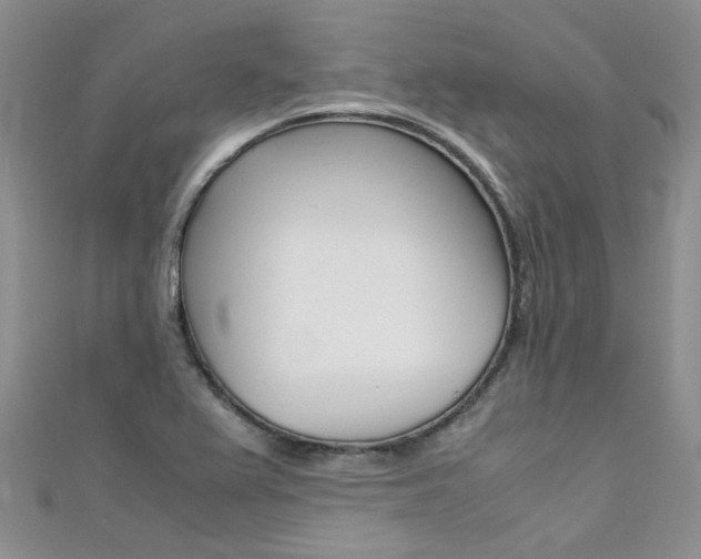 X0000111431367200907131032