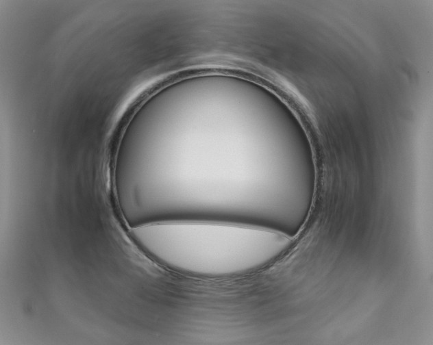 X0000111431368200907131032