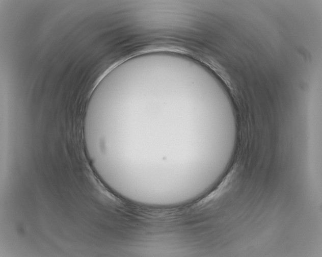X0000111431369200907131031