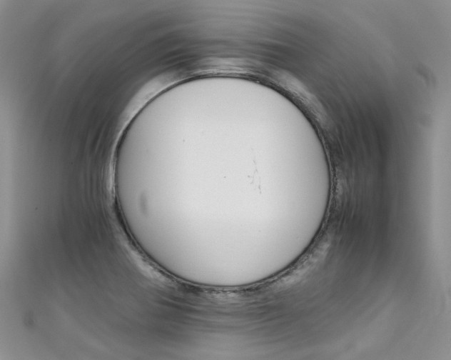 X0000111431370200907131031