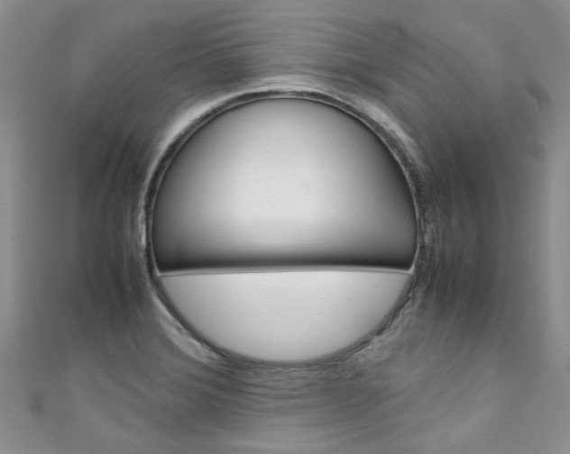 X0000111431372200907131031