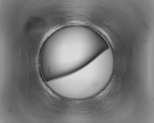 X0000111431373200907131031