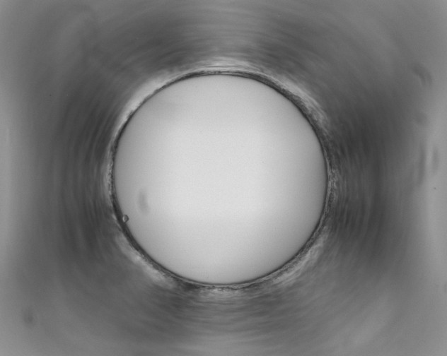 X0000111431374200907131031