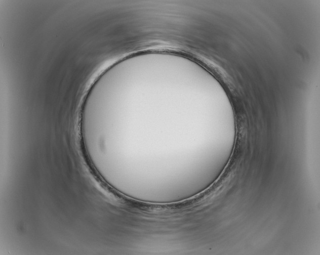 X0000111431375200907131031