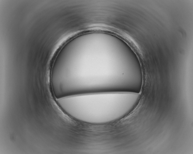 X0000111431376200907131031