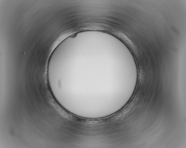 X0000111431378200907131031