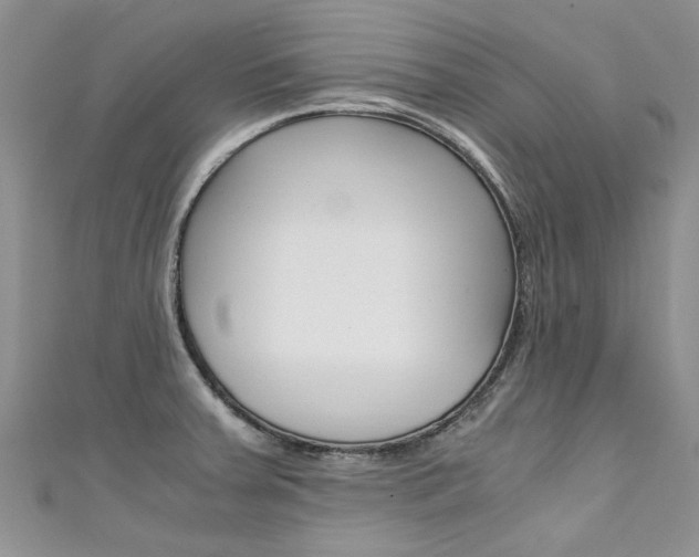 X0000111431379200907131031