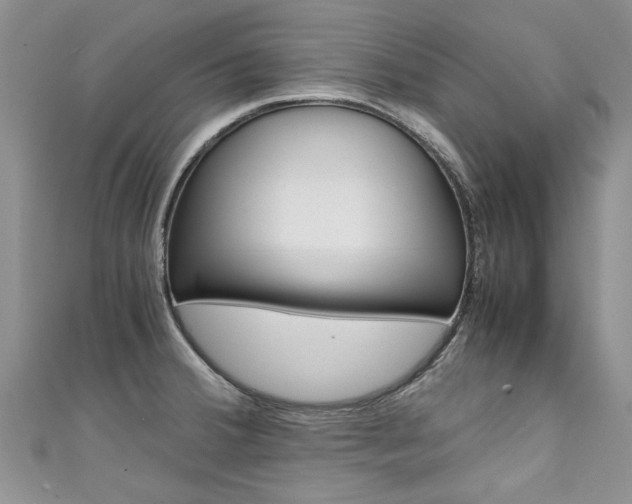X0000111431380200907131031