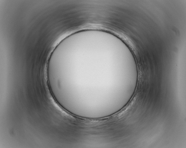 X0000111431382200907131031
