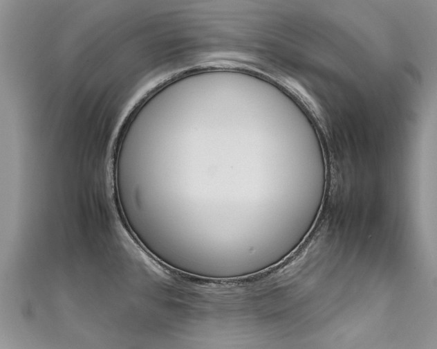 X0000111431384200907131031