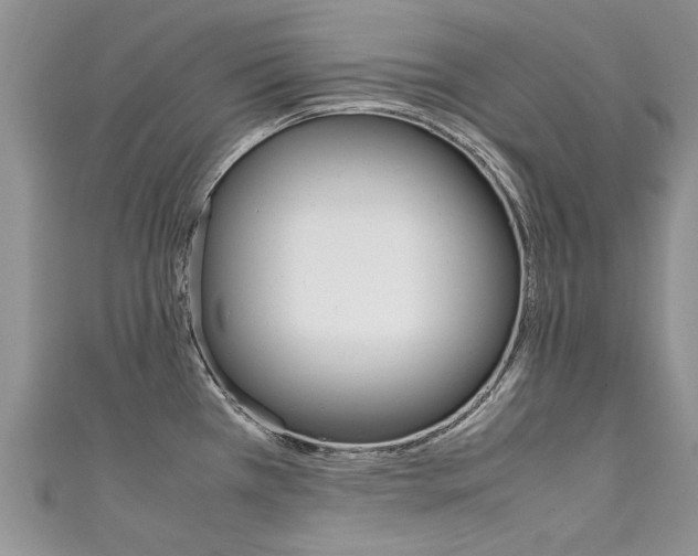X0000111431385200907131031