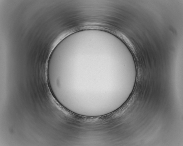 X0000111431386200907131031