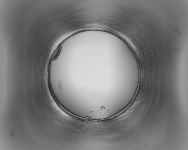 X0000111431387200907131031
