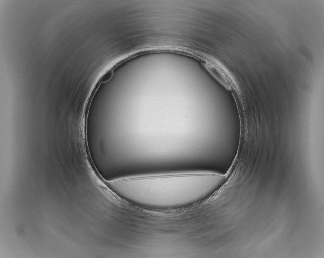 X0000111431388200907131031