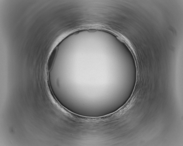 X0000111431389200907131031