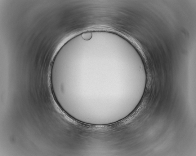 X0000111431390200907131031