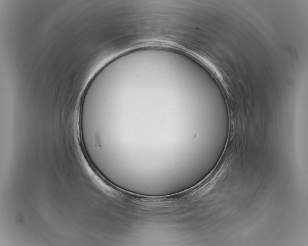 X0000111431391200907131031