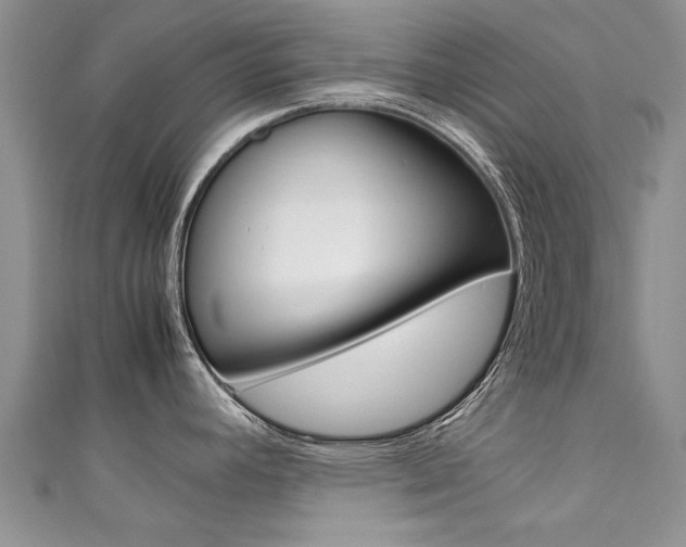 X0000111431392200907131031