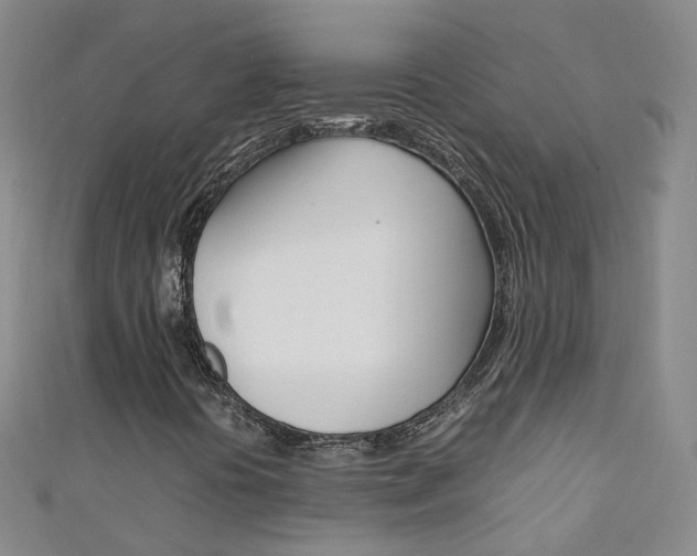 X0000111431394200907131031