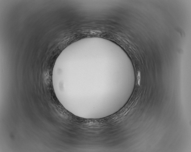 X0000111431395200907131031