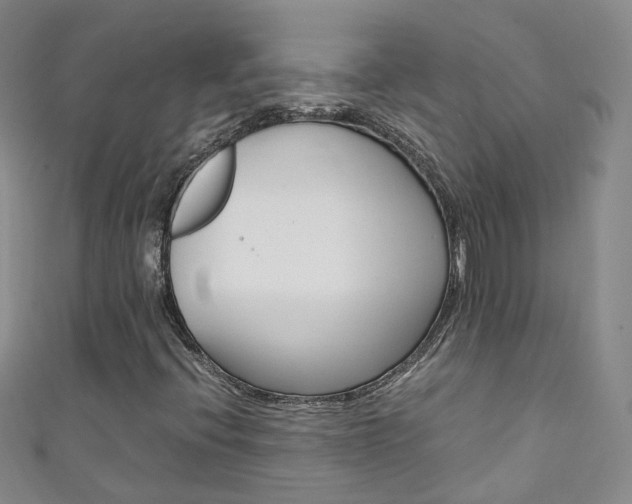 X0000111431396200907131031
