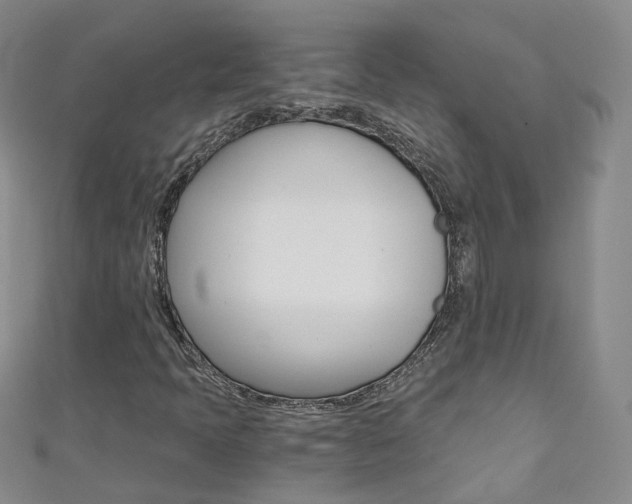 X0000111431397200907131031