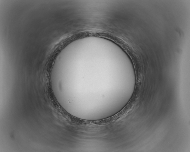X0000111431398200907131031