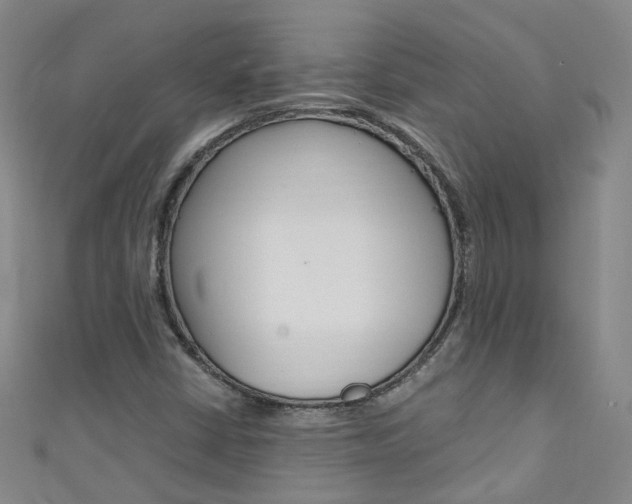 X0000111431402200907131031