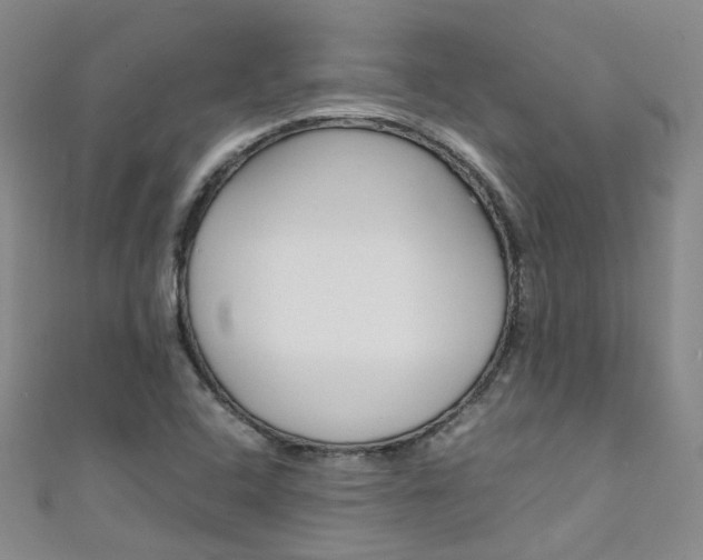 X0000111431408200907131031