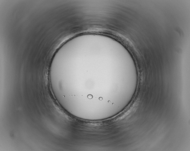 X0000111431409200907131031