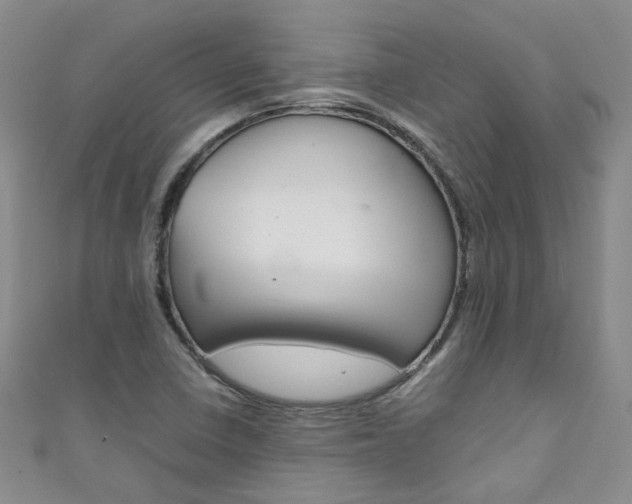 X0000111431410200907131031