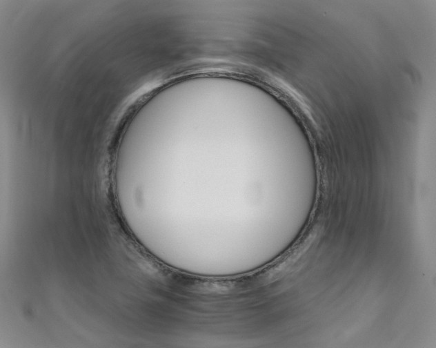 X0000111431411200907131031
