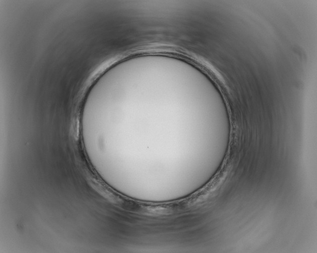 X0000111431413200907131031