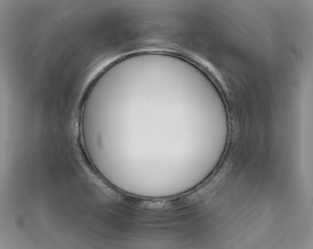 X0000111431415200907131031