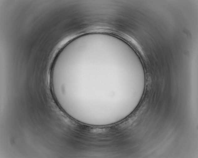 X0000111431419200907131031