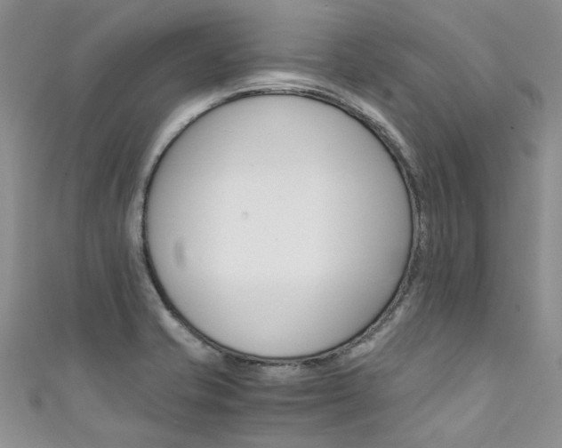 X0000111431421200907131031