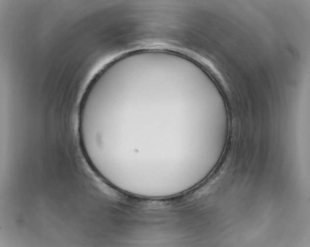 X0000111431424200907131031