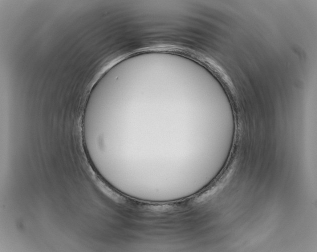 X0000111431425200907131031