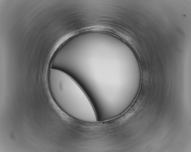 X0000111431426200907131031