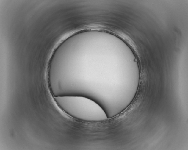 X0000111431429200907131031