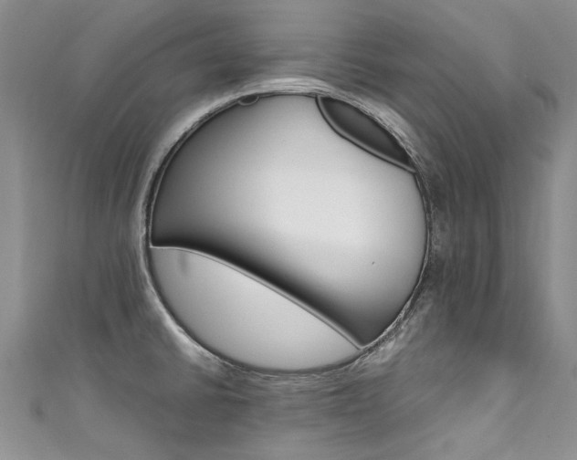 X0000111431430200907131031