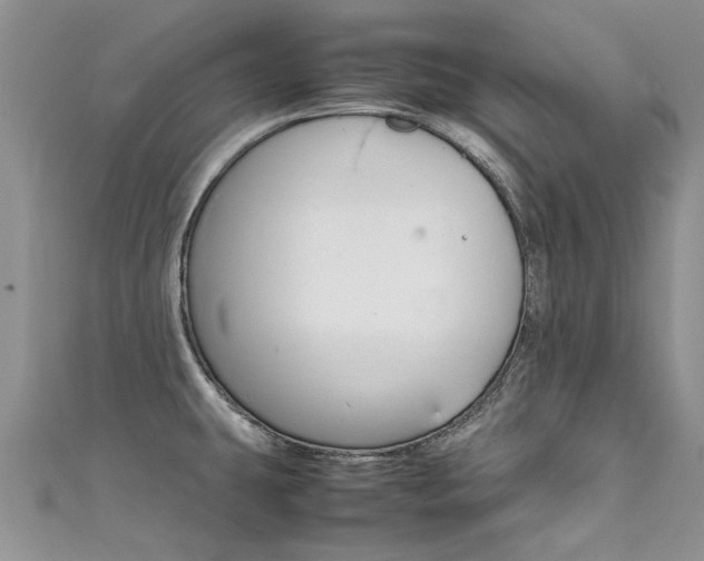 X0000111431431200907131031