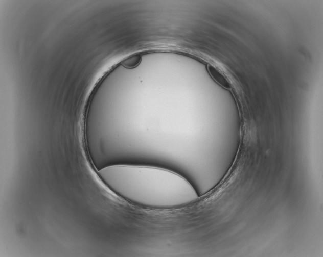 X0000111431432200907131031